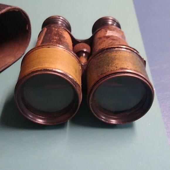 Vintage Leather Case Binoculars Cottagecore Country Outside Bird Watching - Picture 3 of 6